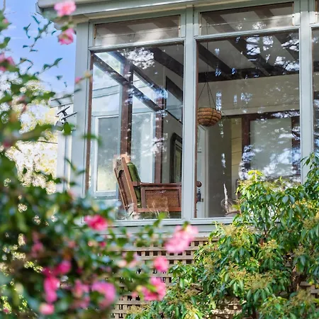 Deodar Cottage Amid Century Old Trees Wentworth Falls Exterior photo