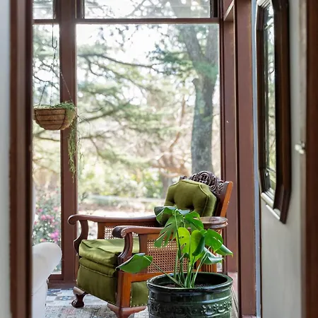 Deodar Cottage Amid Century Old Trees Wentworth Falls Exterior photo