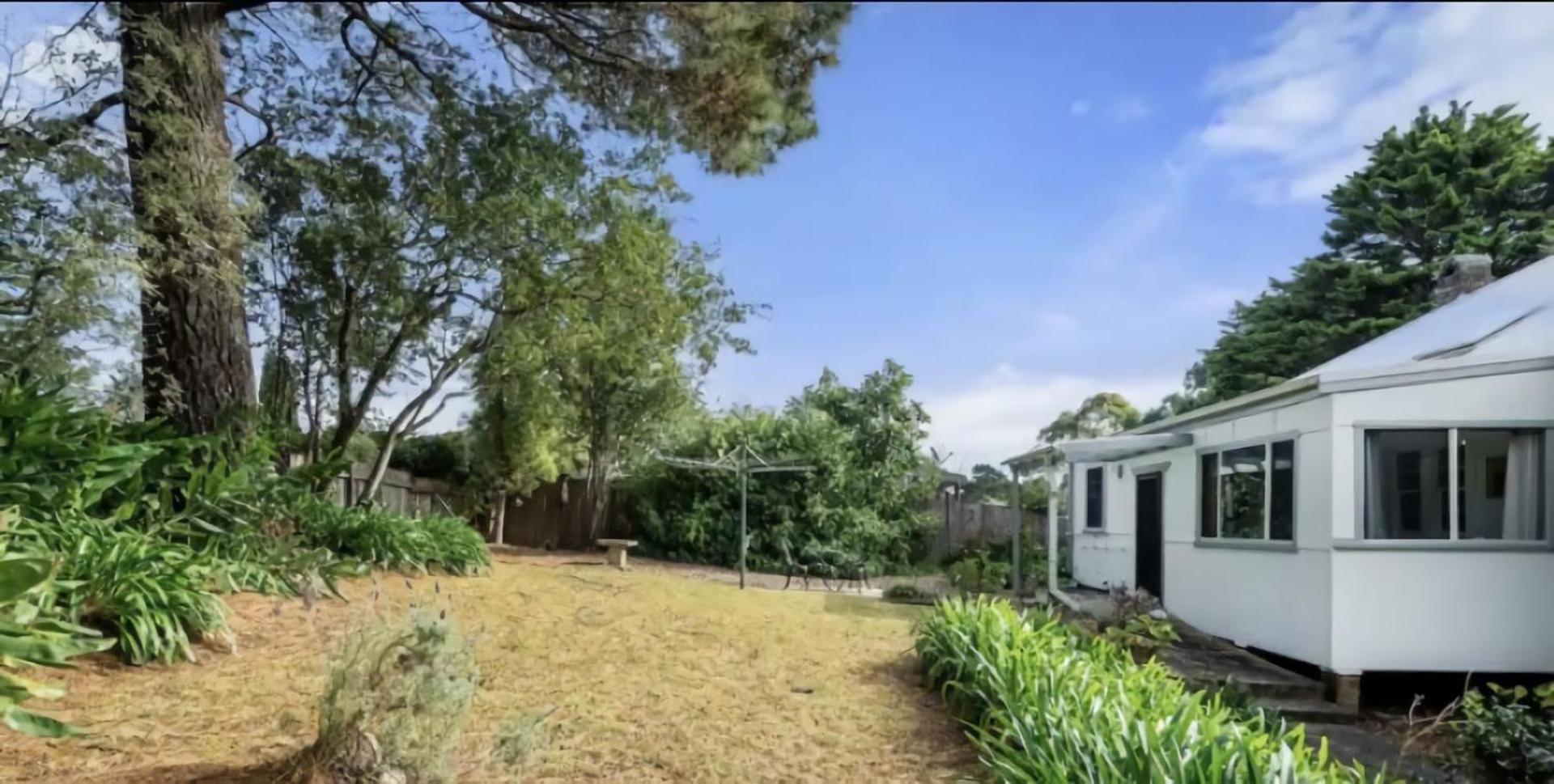Deodar Amid Century Old Trees Apartment Wentworth Falls