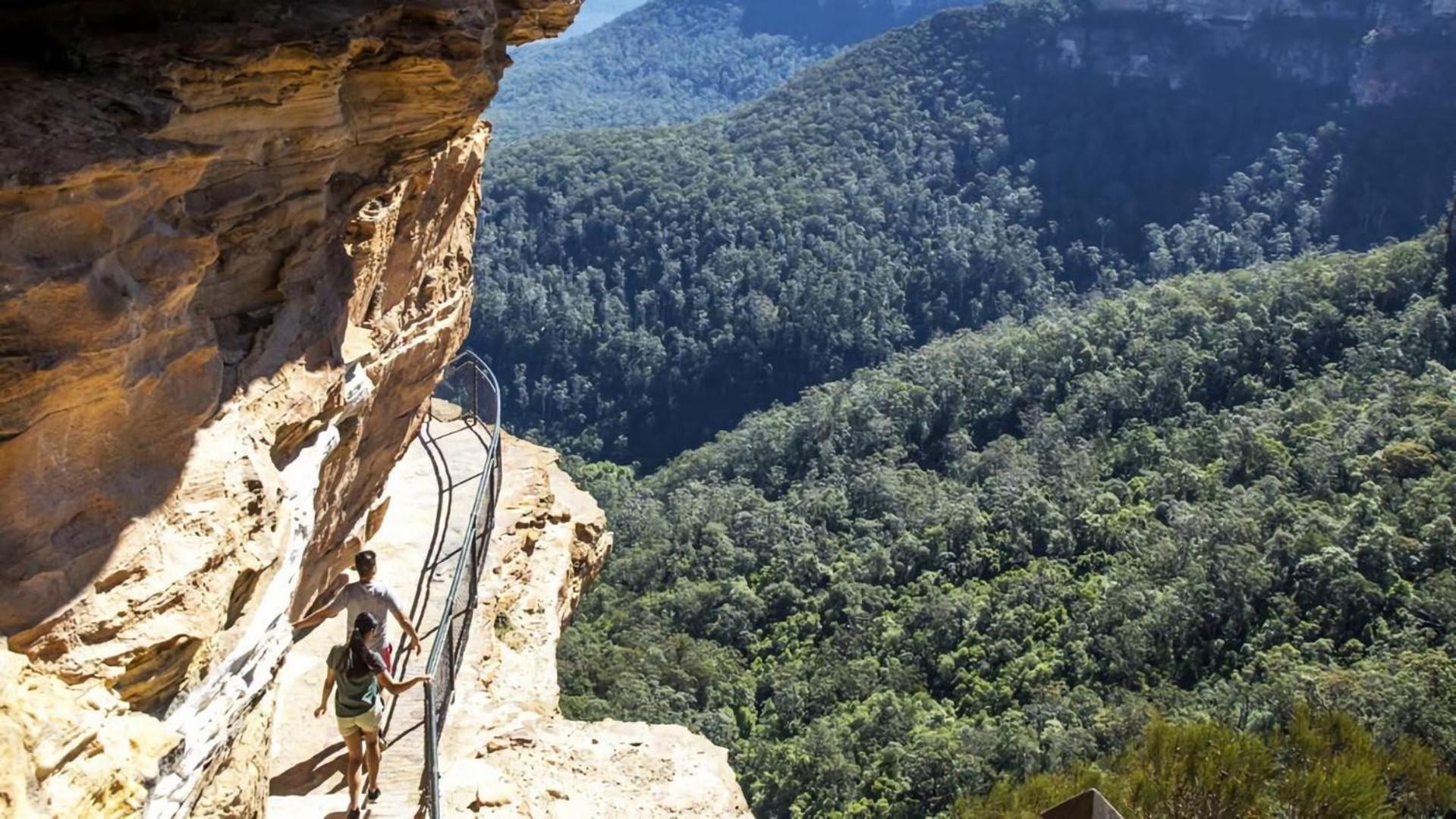 Deodar Amid Century Old Trees Apartment Wentworth Falls